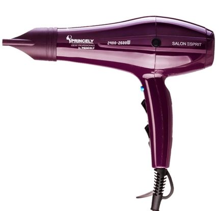 سشوار پرنسلی مدل PR250AT