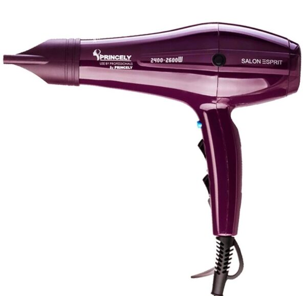 سشوار پرنسلی مدل PR250AT